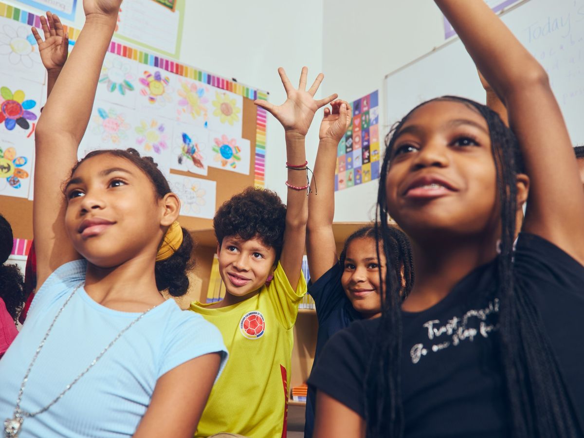 Students raising their hands in a bright classroom